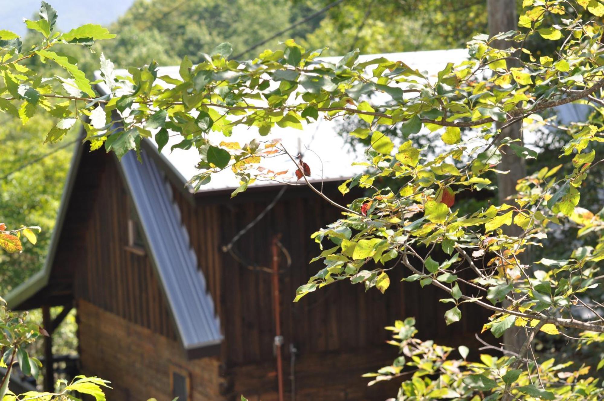 Bears Among Us Villa Gatlinburg Exterior foto